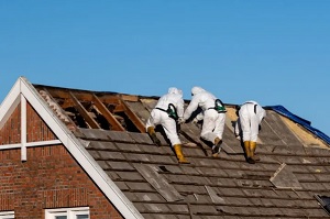 Boise premier asbestos removal